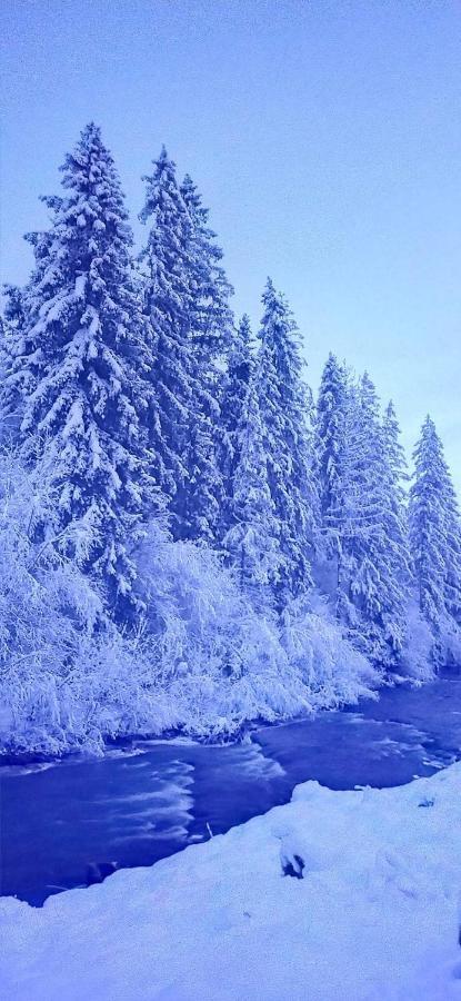 Родинна оселя Славское Экстерьер фото